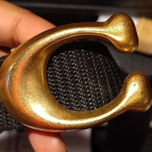 Gold Buckle Black Belt